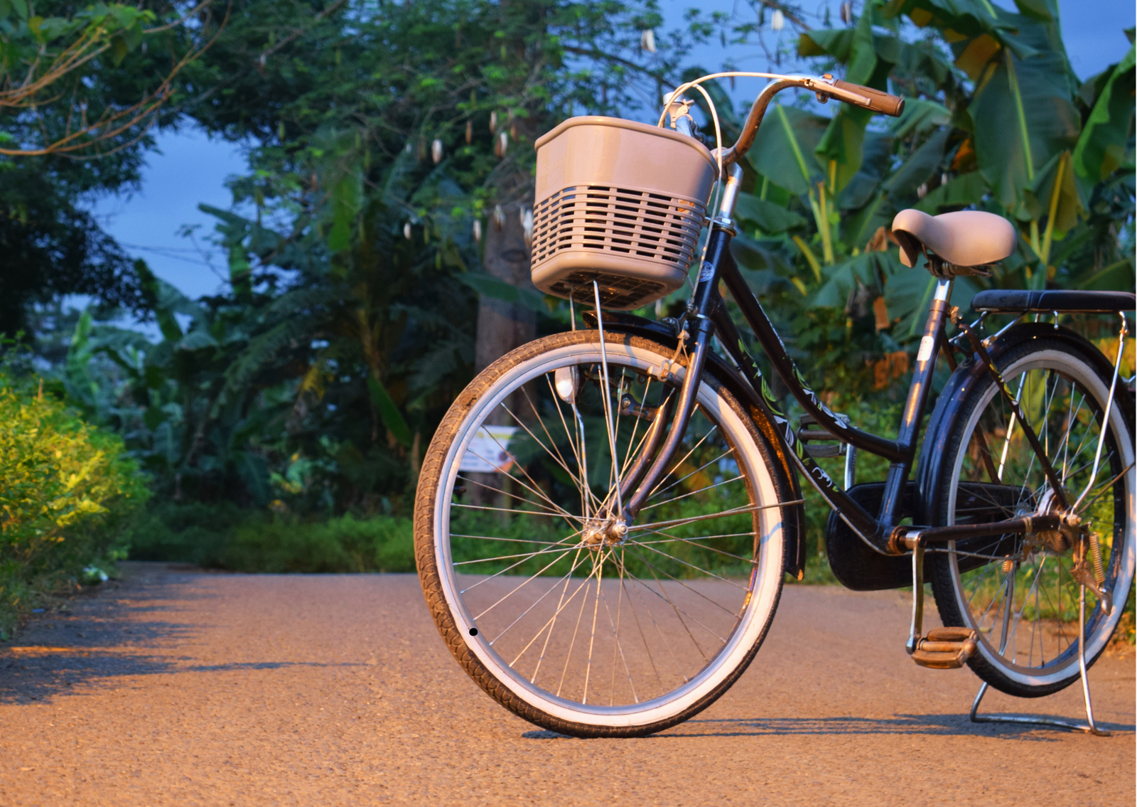 Bicycle Distribution Programme