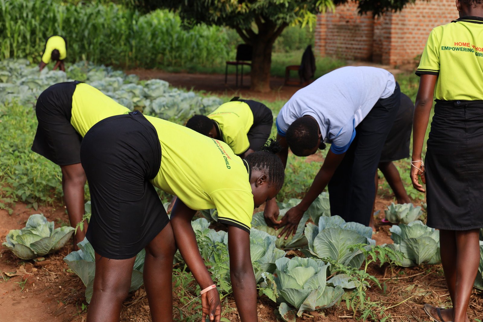 VSF CIDA Agricultural and Livelihoods Programme